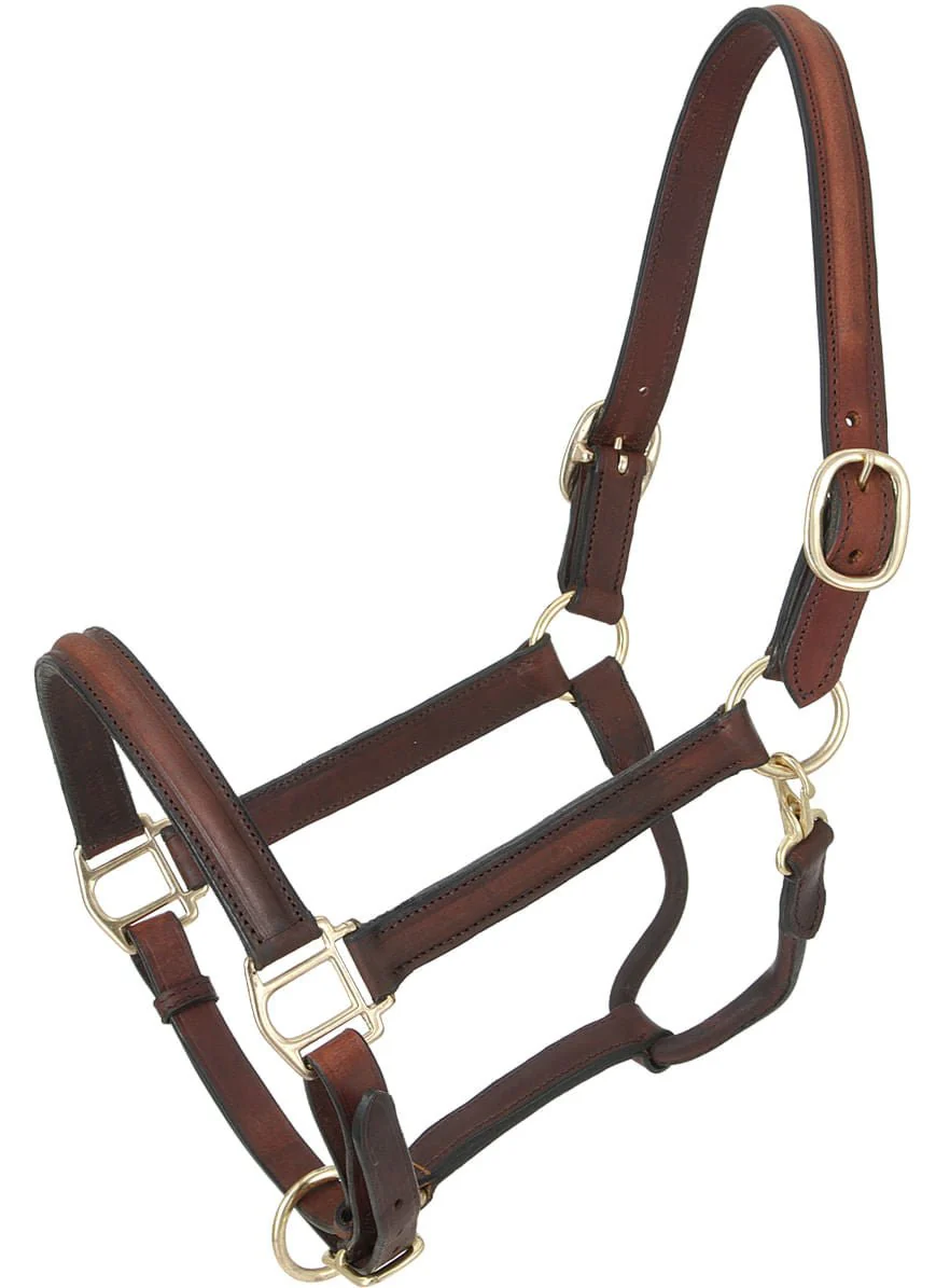 Royal King Raised Leather Halter - Image 2