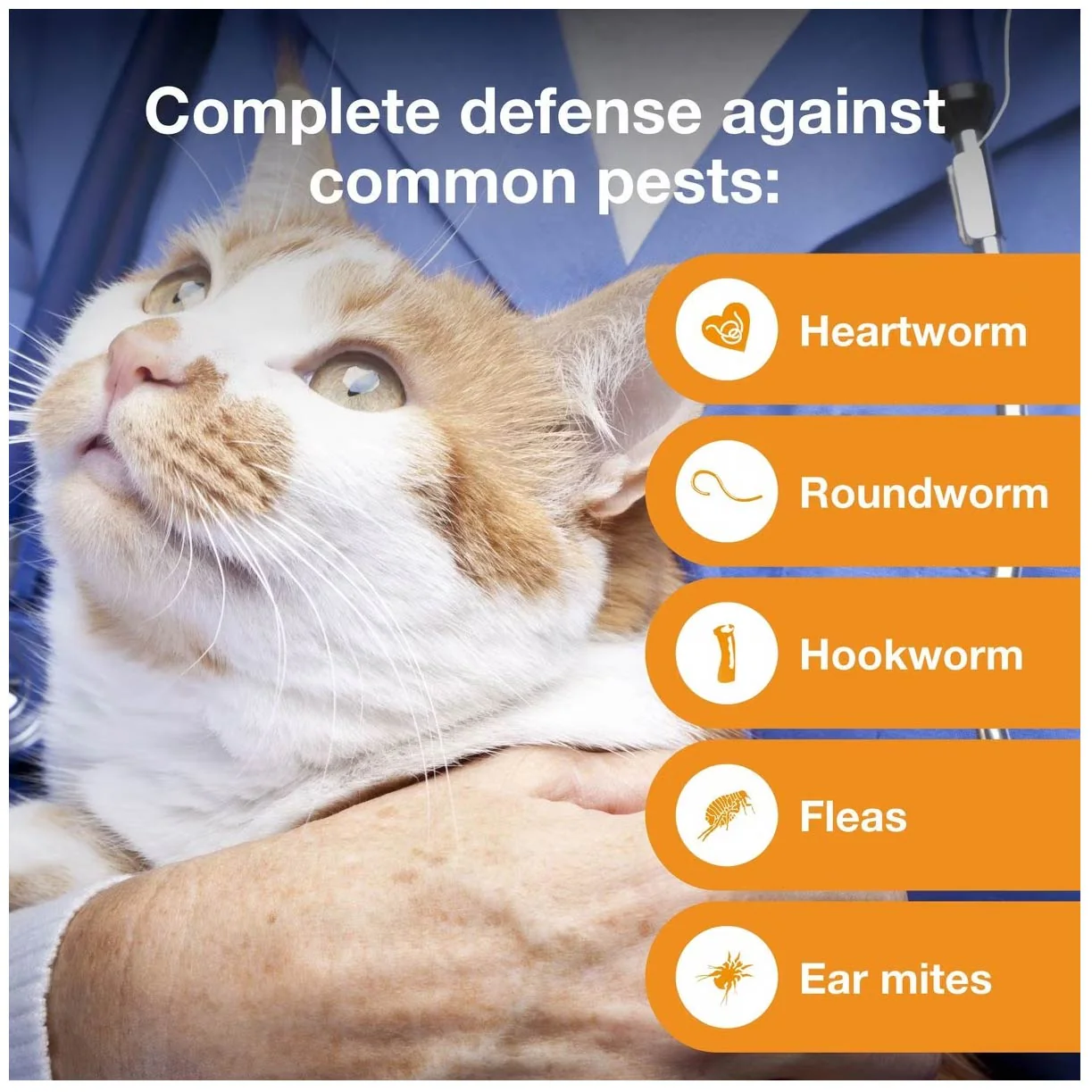 Rx Advantage Multi for Cats - Image 4