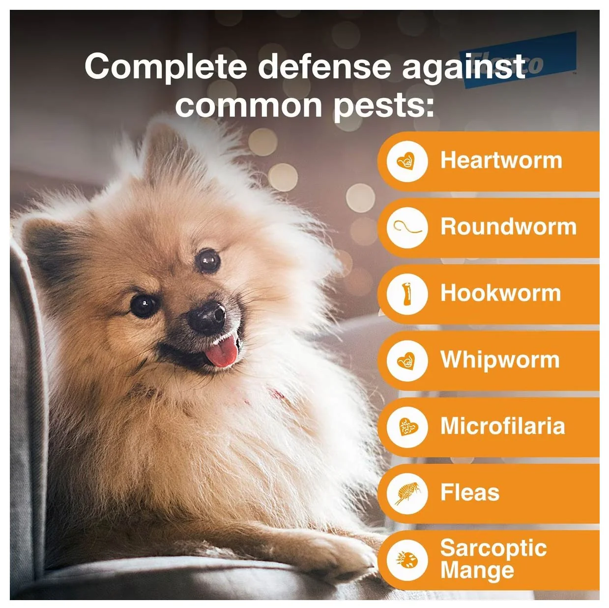 Rx Advantage Multi for Dogs (imidacloprid + moxidectin) Topical Solution - Image 3