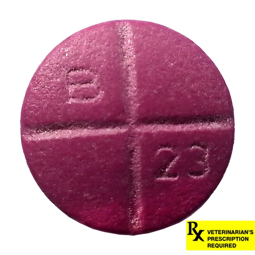 Rx Baytril (enrofloxacin) Coated Tablets for Cats & Dogs - Image 2