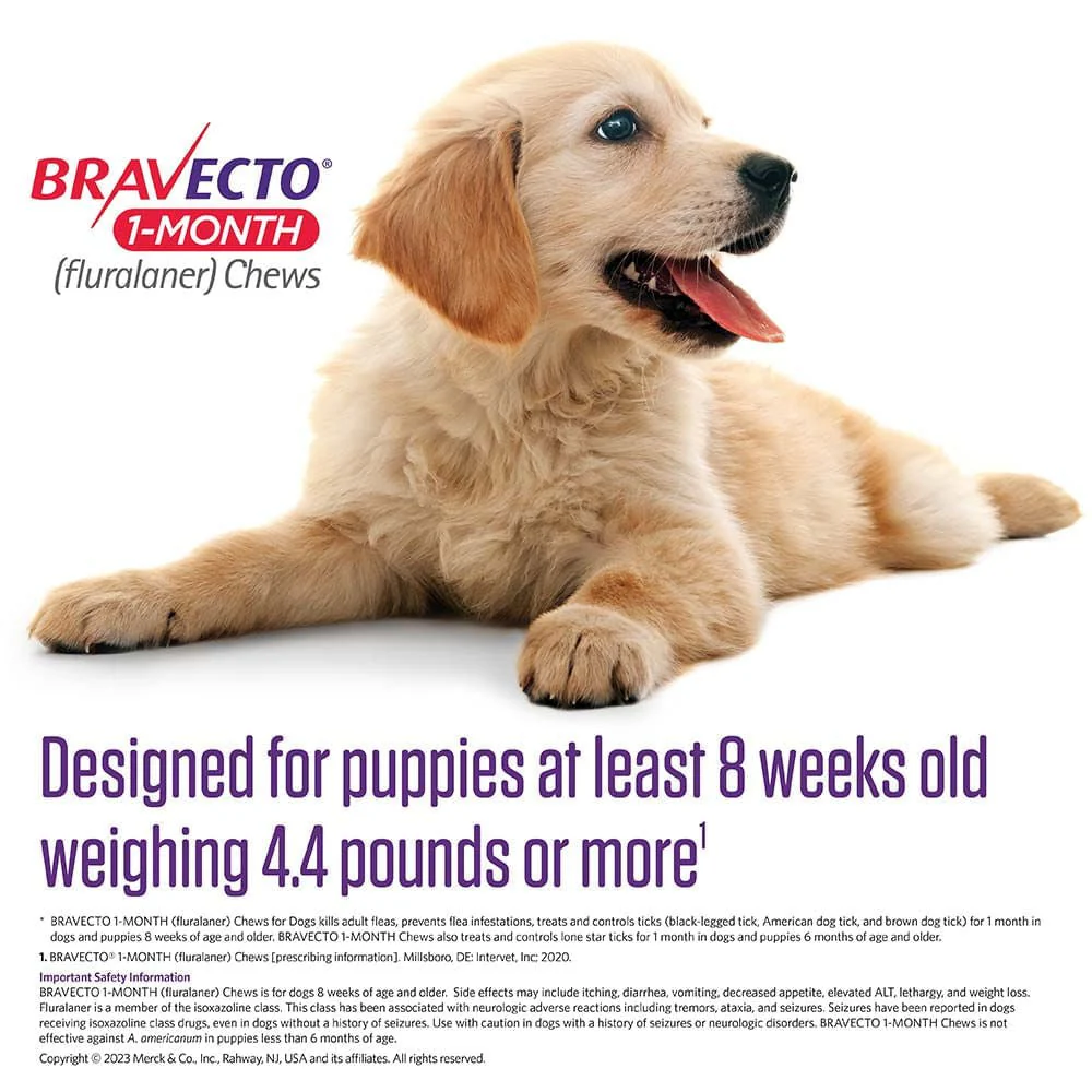 Rx Bravecto (fluralaner) Chews for Dogs, 1 Month Treatment - Image 15