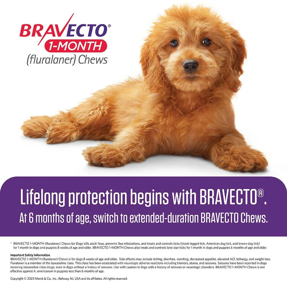 Rx Bravecto (fluralaner) Chews for Dogs, 1 Month Treatment - Image 19