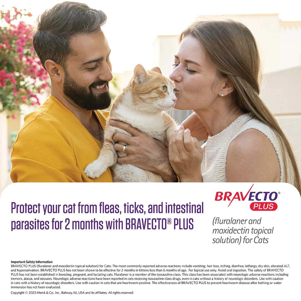Rx BRAVECTO Plus Topical for Cats - Image 2