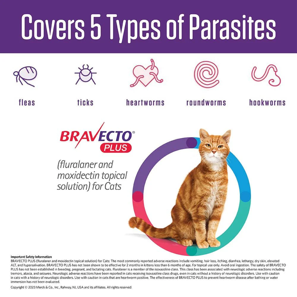 Rx BRAVECTO Plus Topical for Cats - Image 9