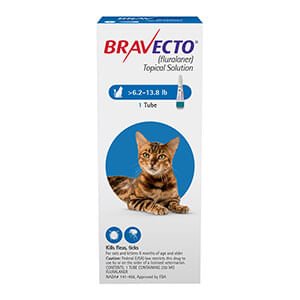 Rx BRAVECTO Feline Topical for Cats
