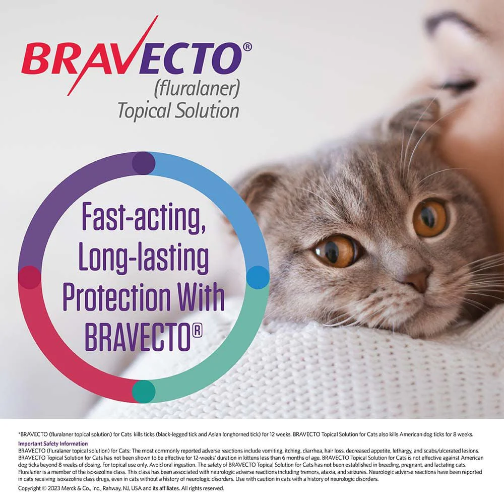 Rx BRAVECTO Feline Topical for Cats - Image 4