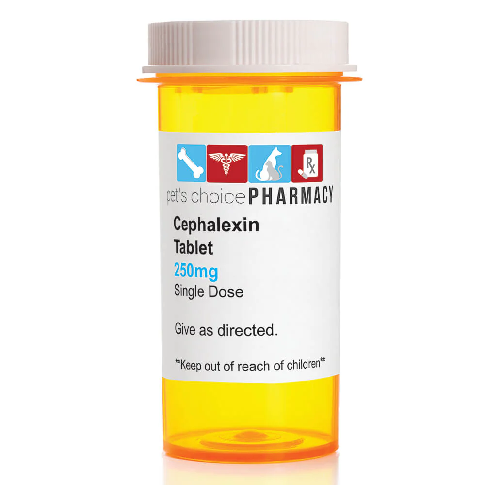 Rx Cephalexin (Generic) Tablets for Cats & Dogs - Image 2