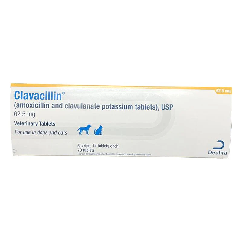 Rx Clavacillin (amoxicillin trihydrate/clavulanate potassium) Tablets for Dogs & Cats - Image 11