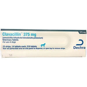 Rx Clavacillin (amoxicillin trihydrate/clavulanate potassium) Tablets for Dogs & Cats - Image 7