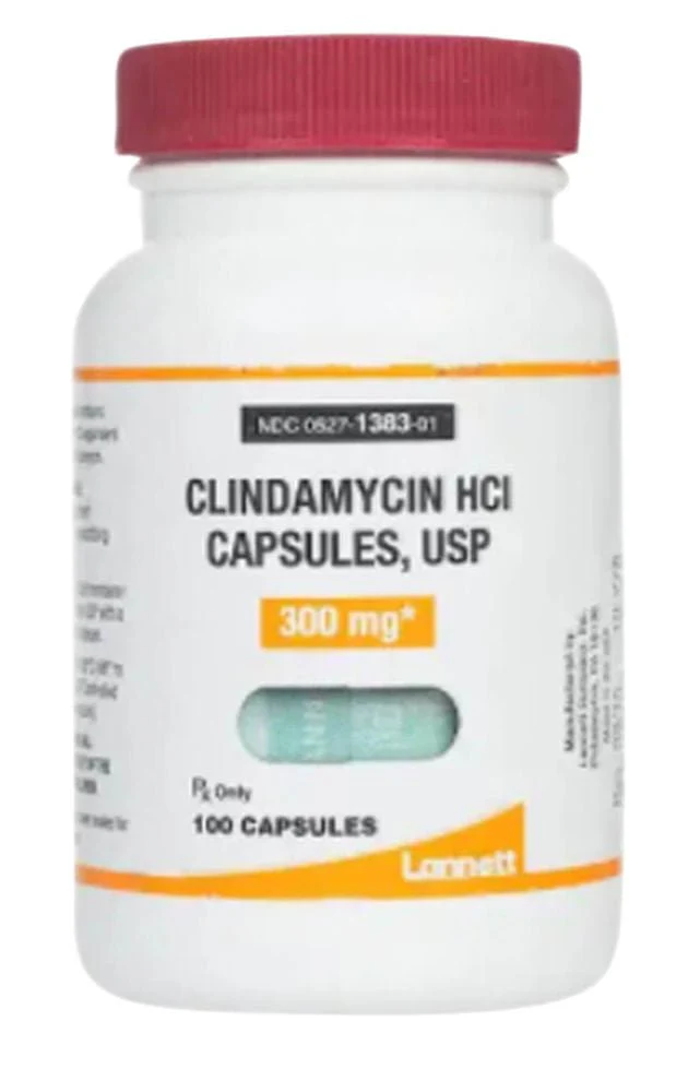 Rx Clindamycin HCl (Generic) Capsules for Dogs - Image 3