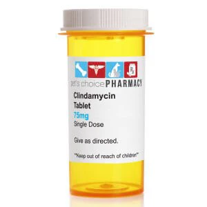 Rx Clindamycin (Generic) Tablets for Dogs - Image 4
