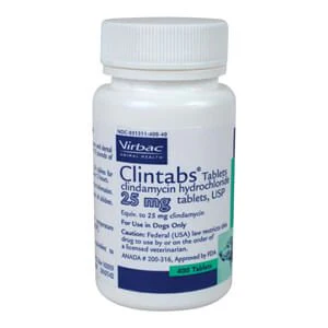 Rx Clindamycin (Generic) Tablets for Dogs - Image 5