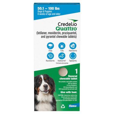 Rx Credelio Quattro Flea & Tick Chewable Tablets for Dogs - Image 12