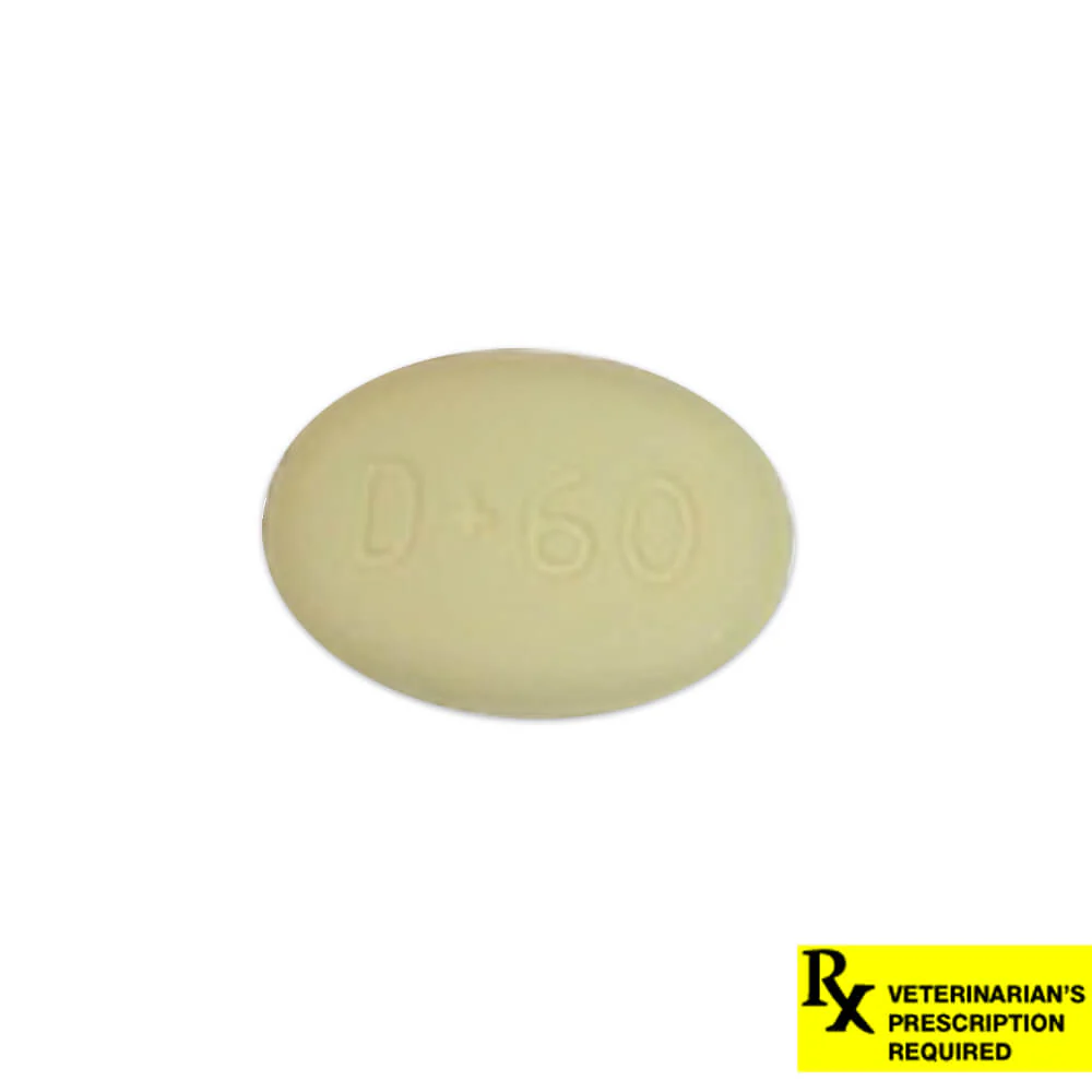Rx Drontal Plus (praziquantel/pyrantel pamoate/febantel) Broad Spectrum Anthelmintic for Dogs - Image 2