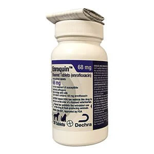 Rx Enroquin (enrofloxacin) Tablets for Dogs and Cats - Image 6