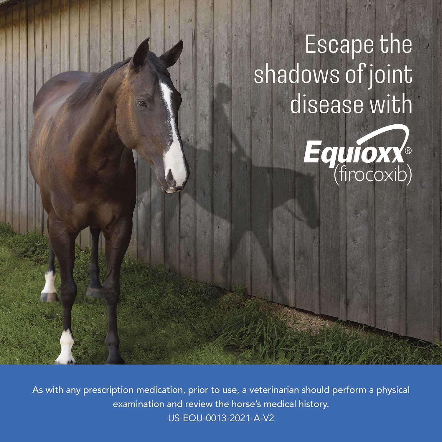 Rx Equioxx (firocoxib) Tablets for Horses (57mg) - Image 2