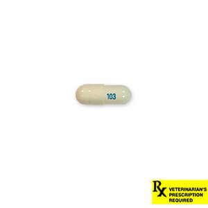Rx Gabapentin (Generic) Capsules for Dogs & Cats - Image 3