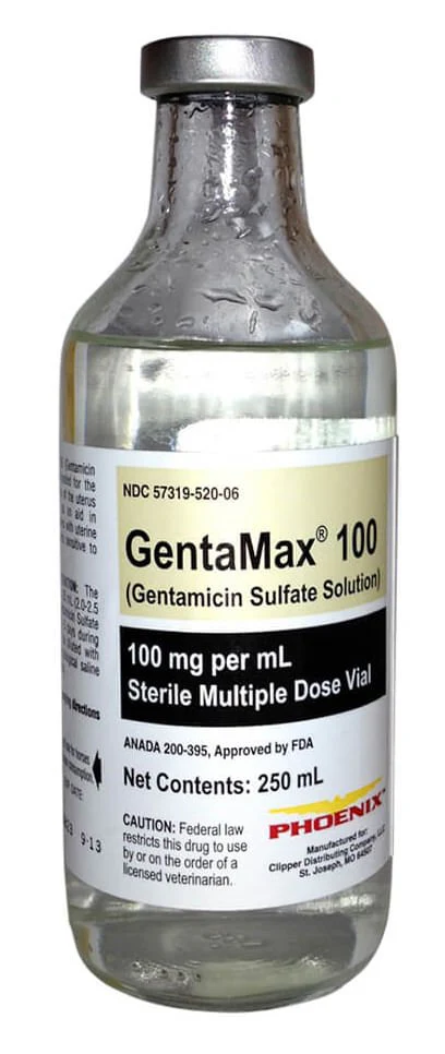Rx GentaMax (gentamicin sulfate solution) 100 mg/mL Injection for Horses - Image 2