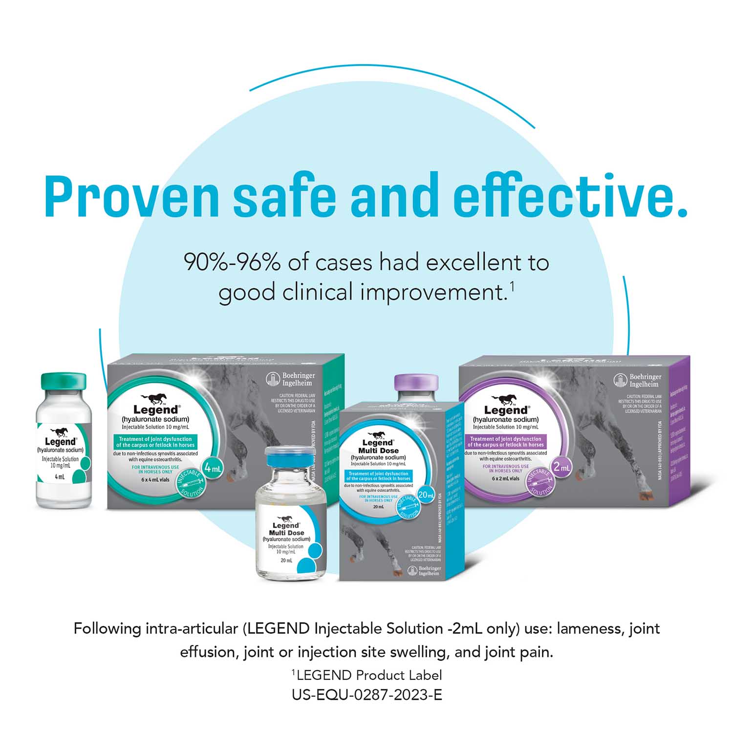 Rx Legend (hyaluronate sodium) Injectable Solution for Horses - Image 15