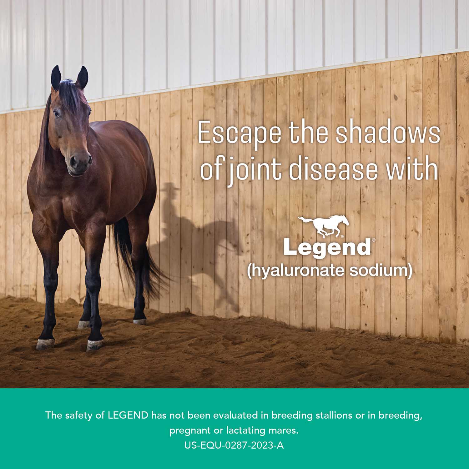 Rx Legend (hyaluronate sodium) Injectable Solution for Horses - Image 3