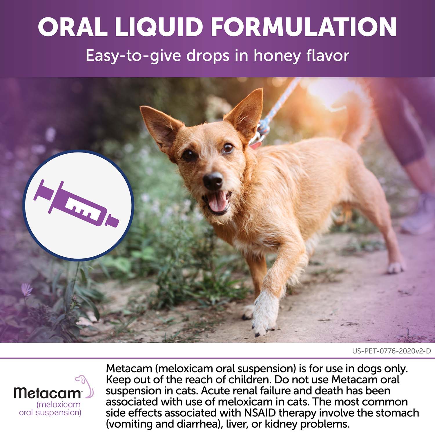 Rx Metacam (meloxicam) Oral Suspension for Dogs - Image 14