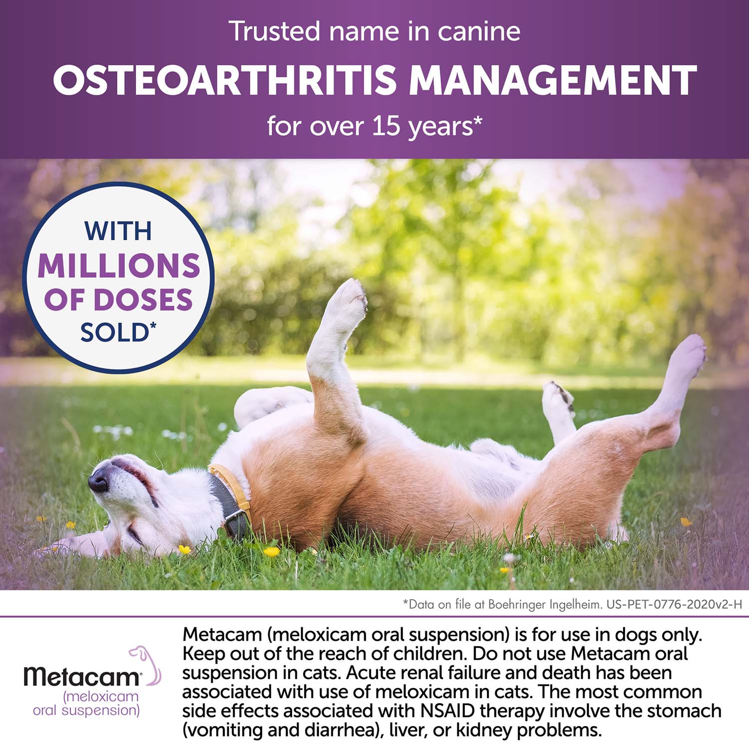 Rx Metacam (meloxicam) Oral Suspension for Dogs - Image 24