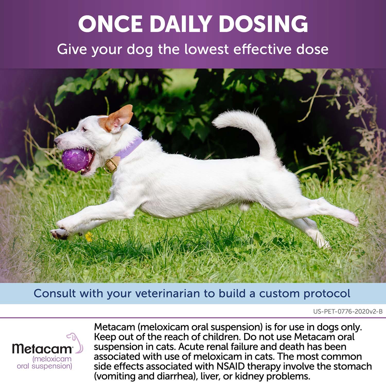 Rx Metacam (meloxicam) Oral Suspension for Dogs - Image 28