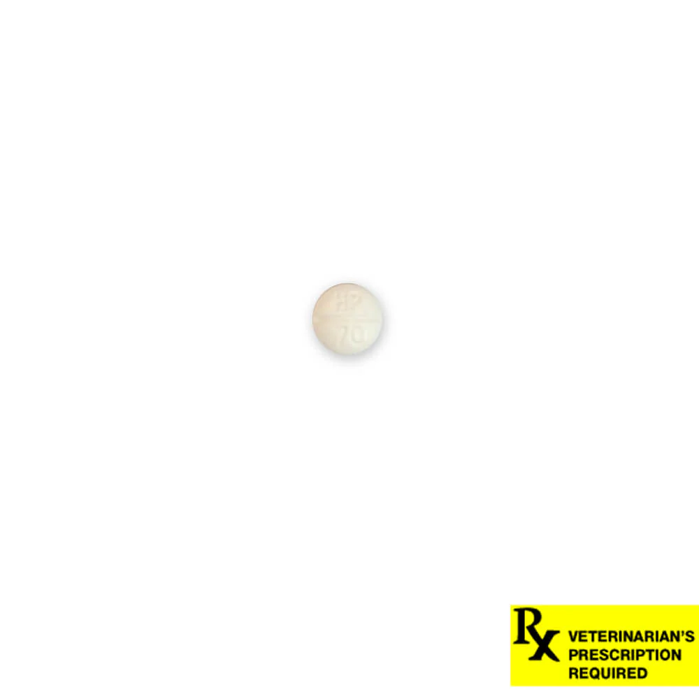 Rx Methimazole Tablets - Image 5