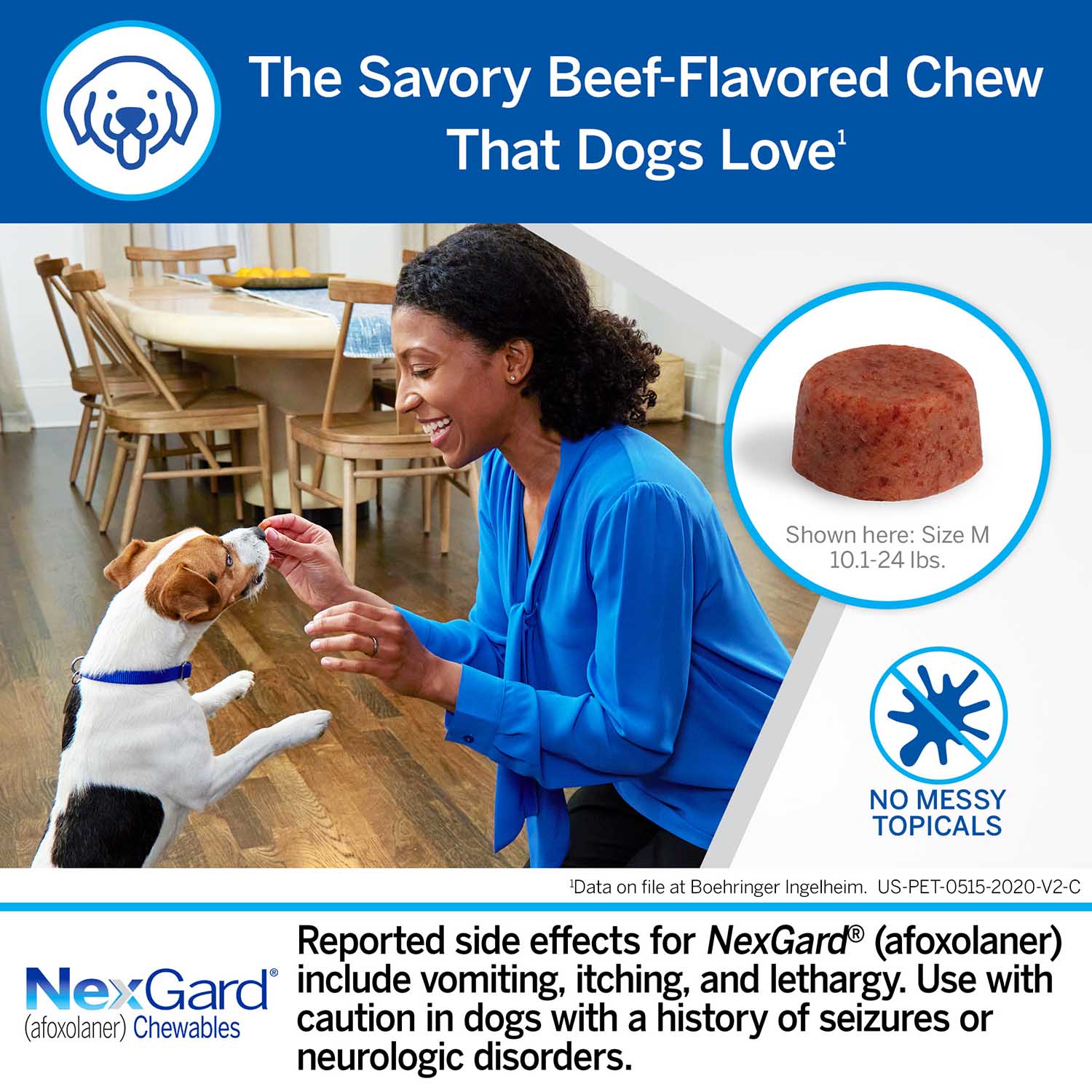 Rx NexGard Flea and Tick Chewables for Dogs - Image 30