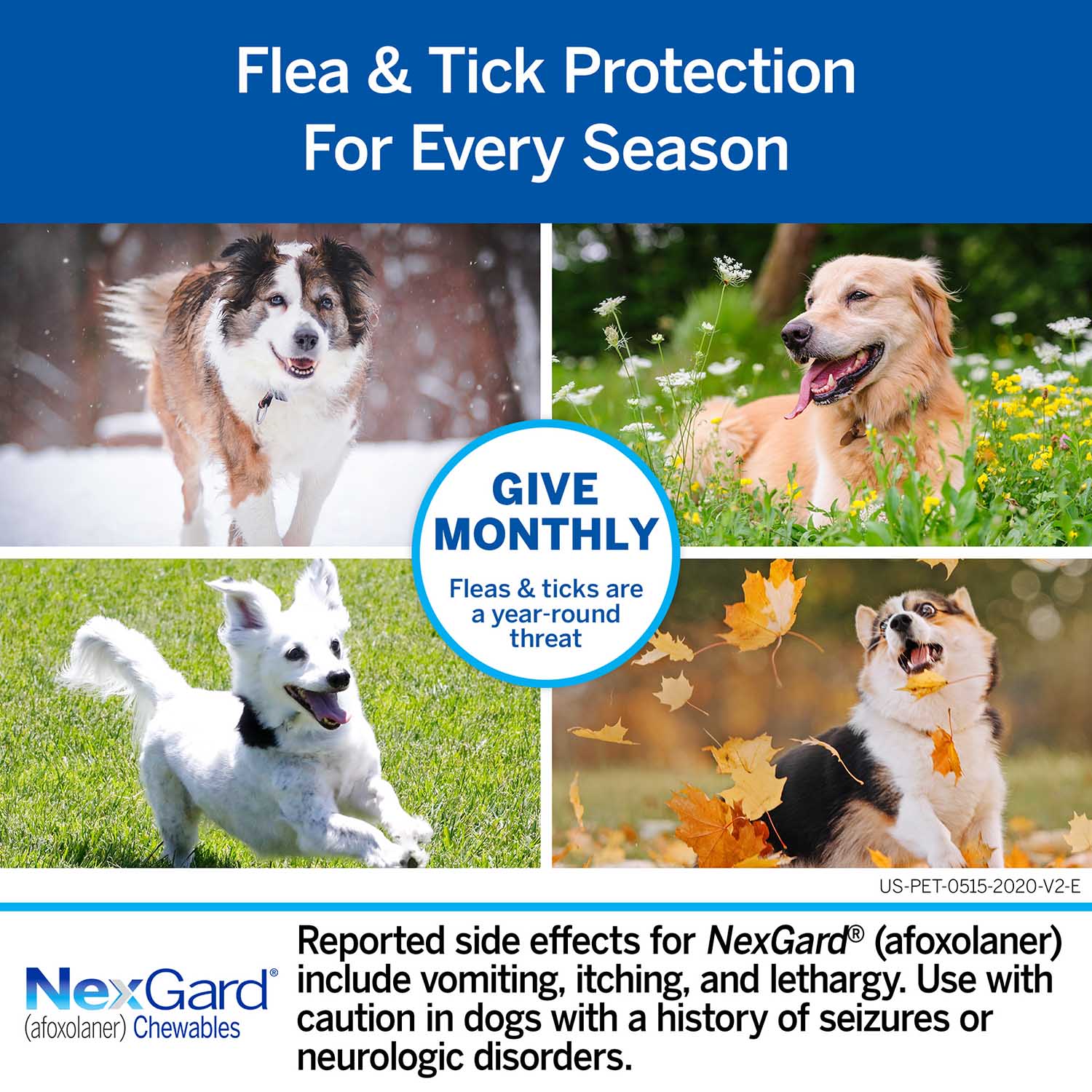 Rx NexGard Flea and Tick Chewables for Dogs - Image 52