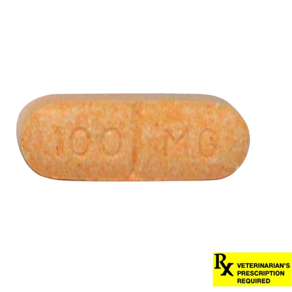 Rx Novox (carprofen) Caplets for Dogs - Image 2