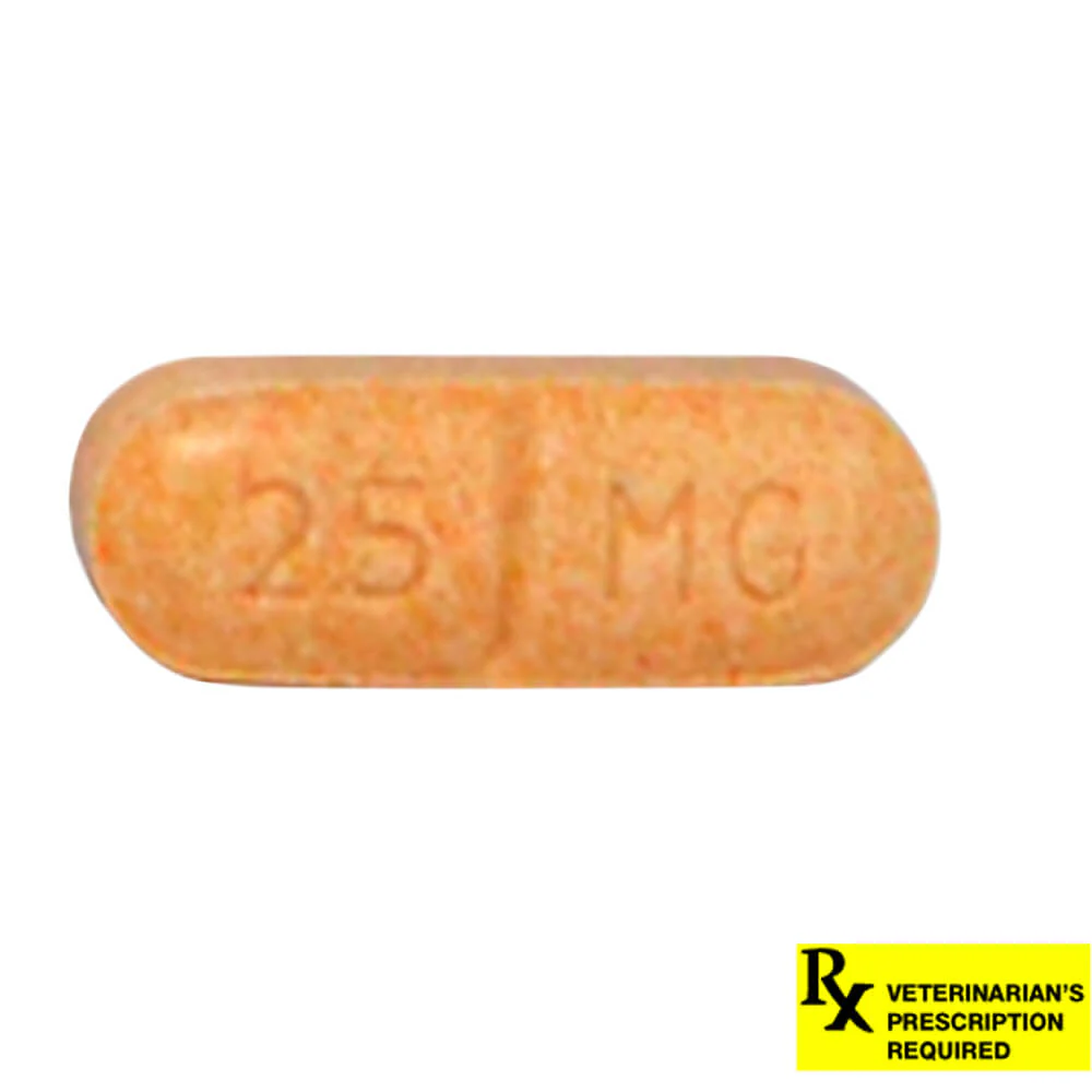 Rx Novox (carprofen) Caplets for Dogs - Image 8
