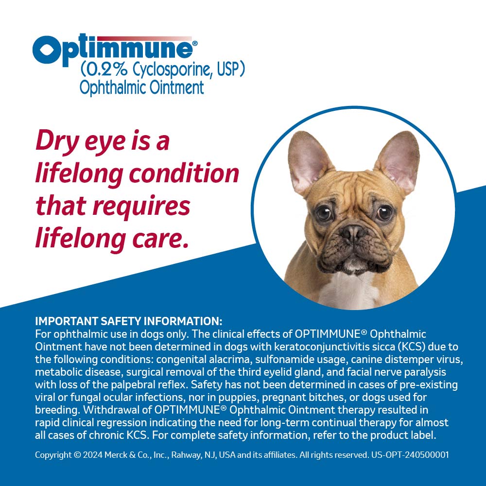 Rx Optimmune (cyclosporine) Opthalmic Ointment for Dogs, 3.5gm Tube - Image 2