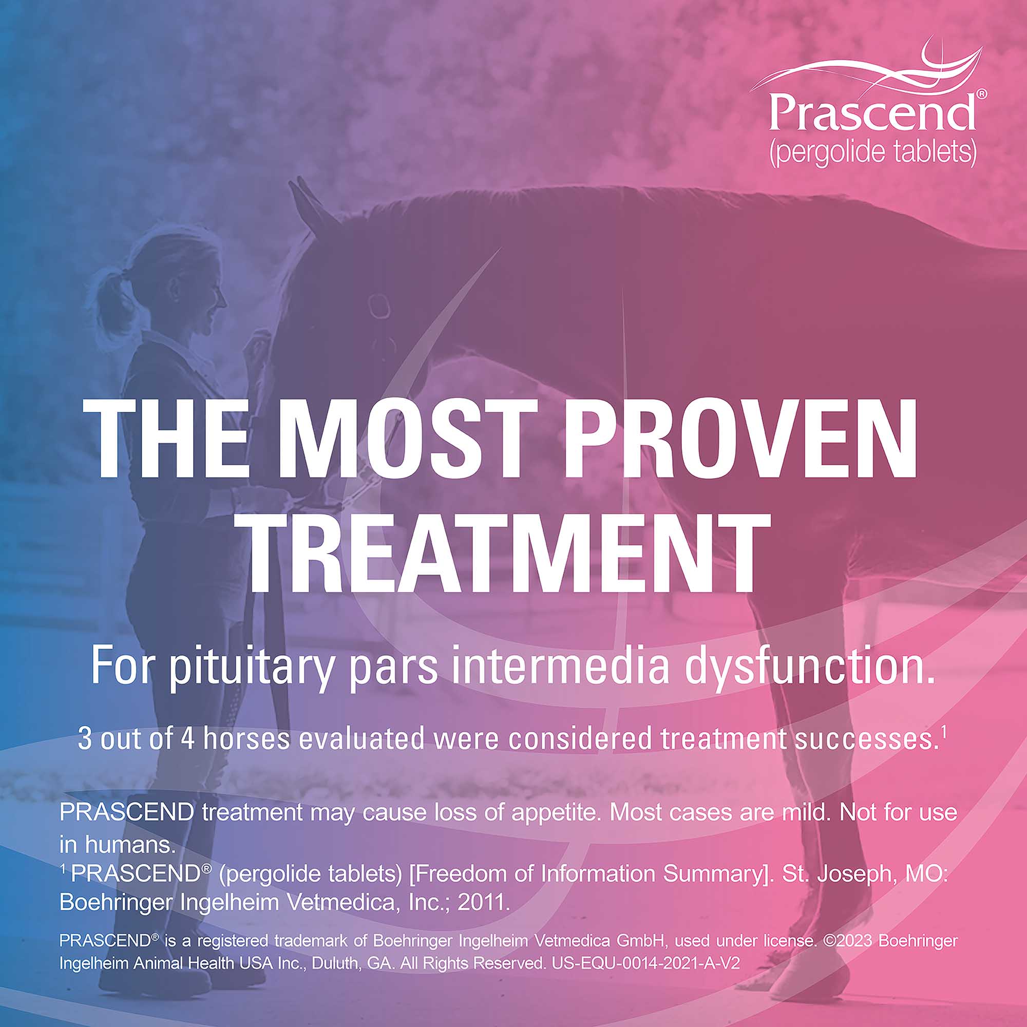 Rx Prascend (pergolide tablets) for Horses, 1 mg - Image 2