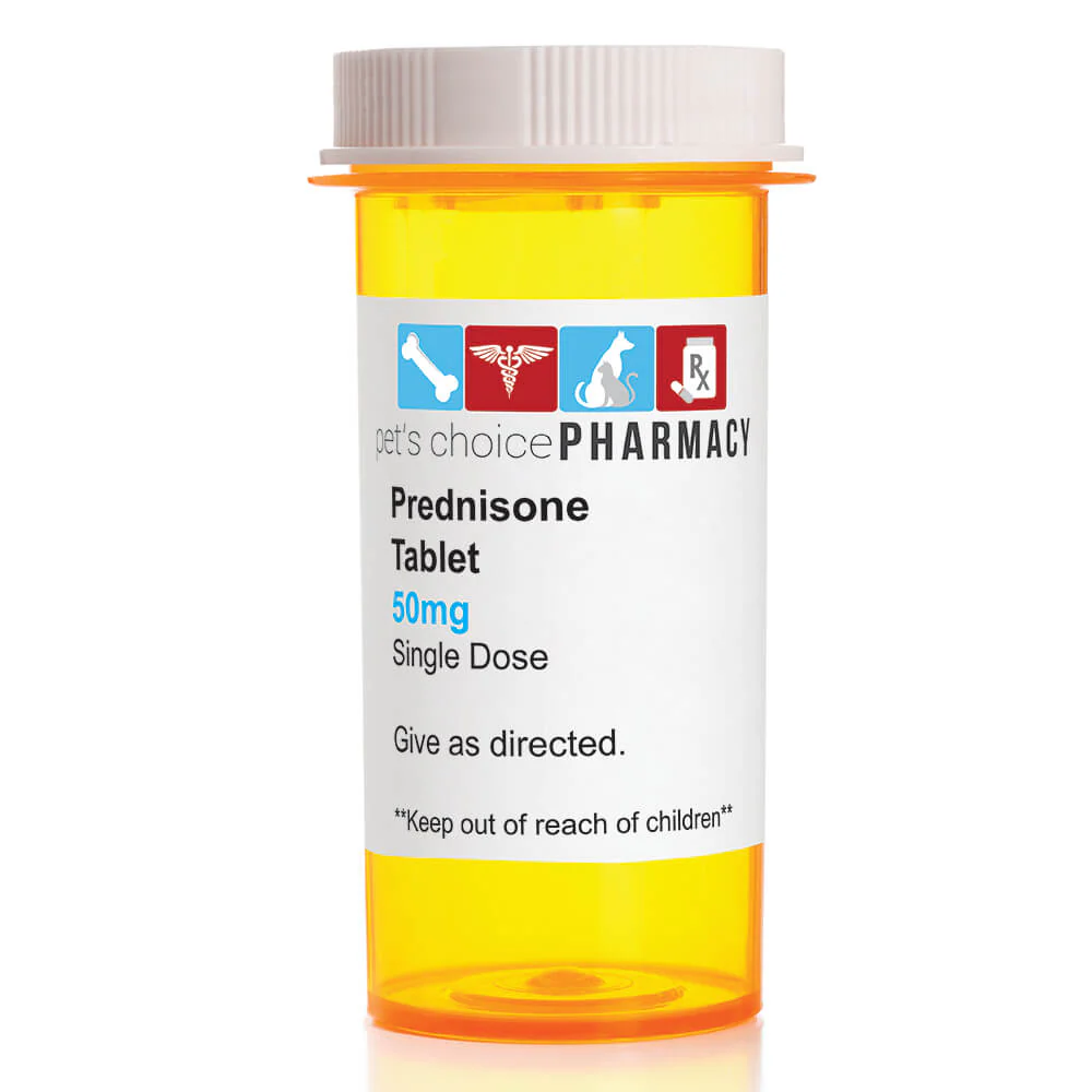 Rx Prednisone (Generic) Tablets for Dogs - Image 10