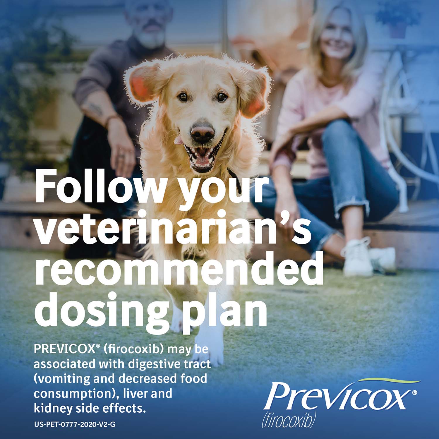 Rx Previcox (firocoxib) Chew Tabs for Dogs - Image 21