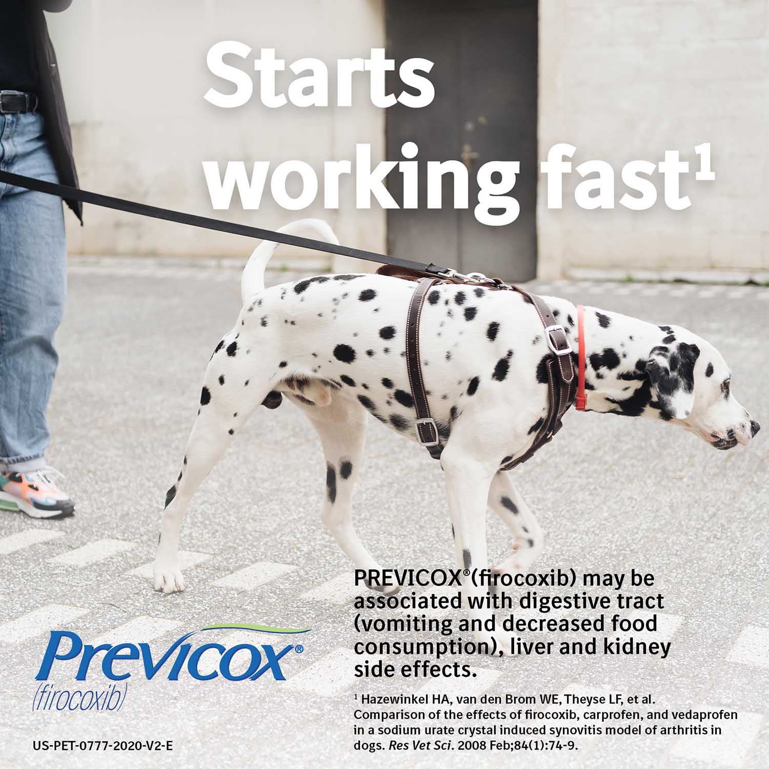 Rx Previcox (firocoxib) Chew Tabs for Dogs - Image 41