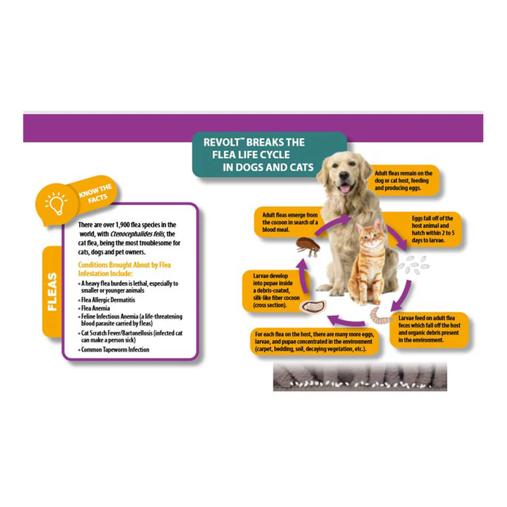 Rx Revolt (Selamectin) for Dogs - Image 2