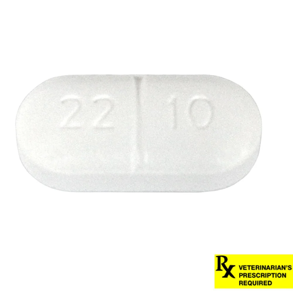 Rx Sucralfate (Generic) Tablets for Horses, Dogs, & Cats, 1 gram - Image 2