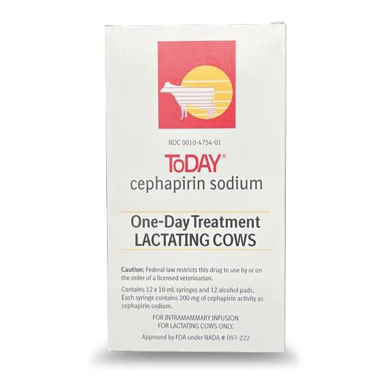 Rx ToDAY (Cephapirin Sodium) One-Day Mastitis Treatment for Lactating Cows, 12 Syringes