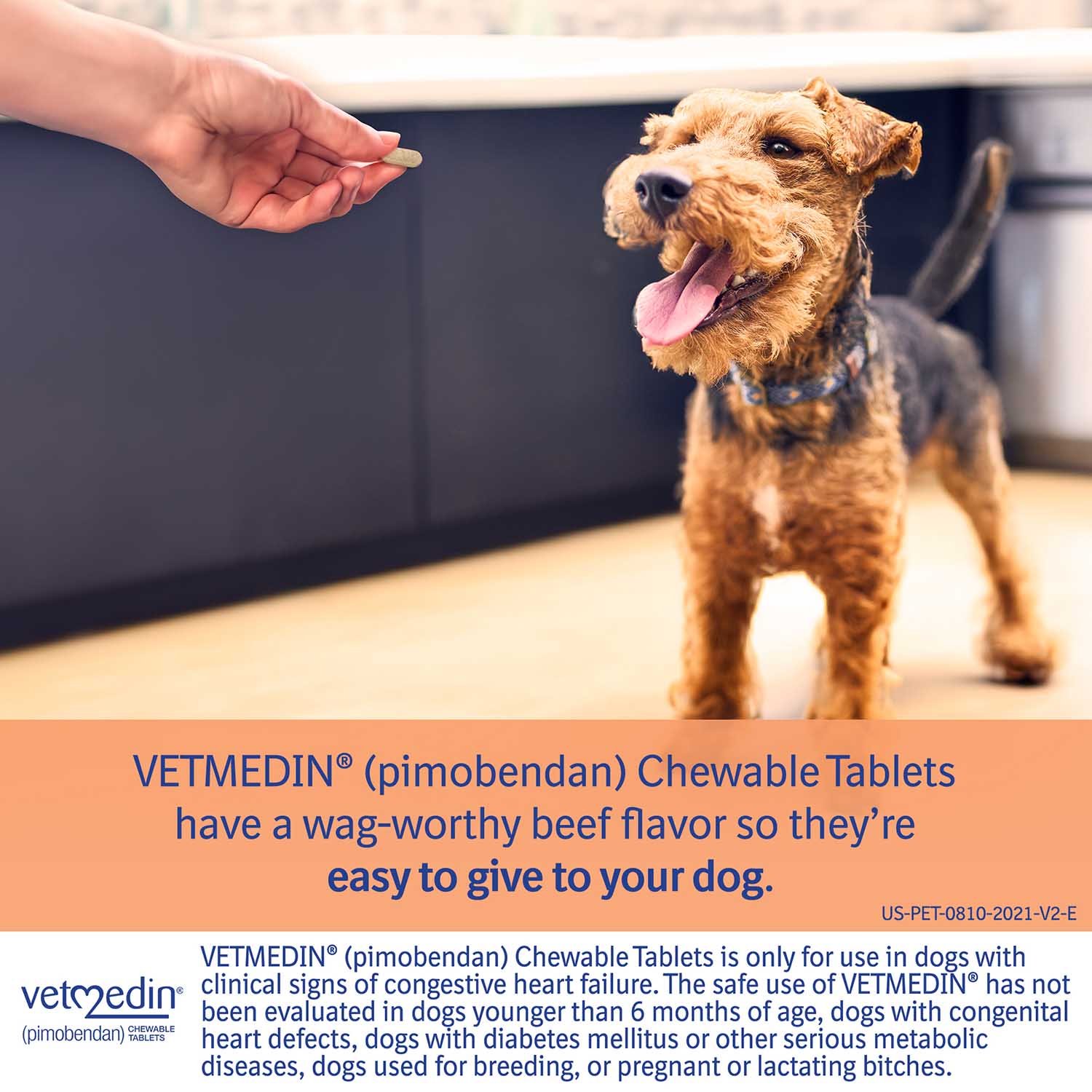 Rx Vetmedin (pimobendan) Chewable Tablets for Dogs - Image 6
