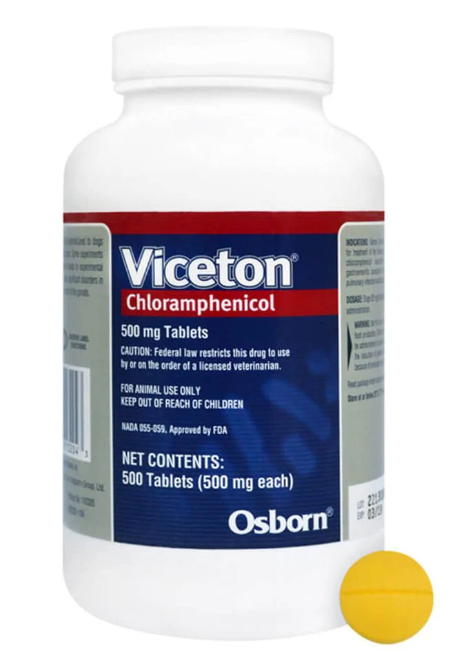 Rx Chloramphenicol (Generic) Tablets for Dogs - Image 6