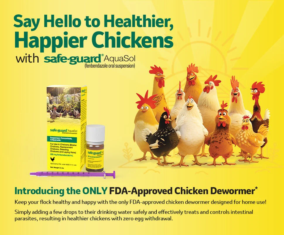 Safe-Guard AquaSol Dewormer for Backyard Chickens, 3ml - Image 3