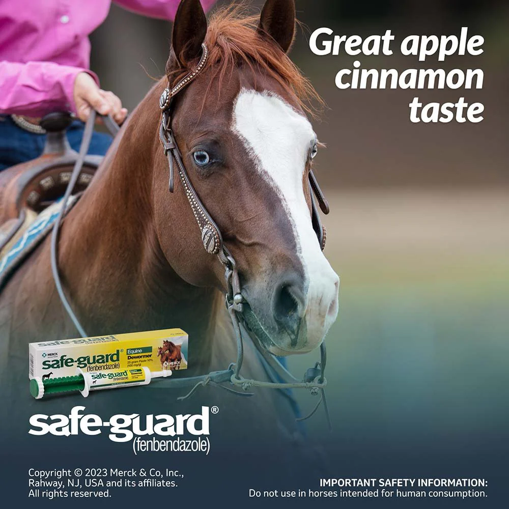Safe-Guard 10% Fenbendazole Horse Dewormer Paste, 25g – Broad-Spectrum Parasite Wormer - Image 8