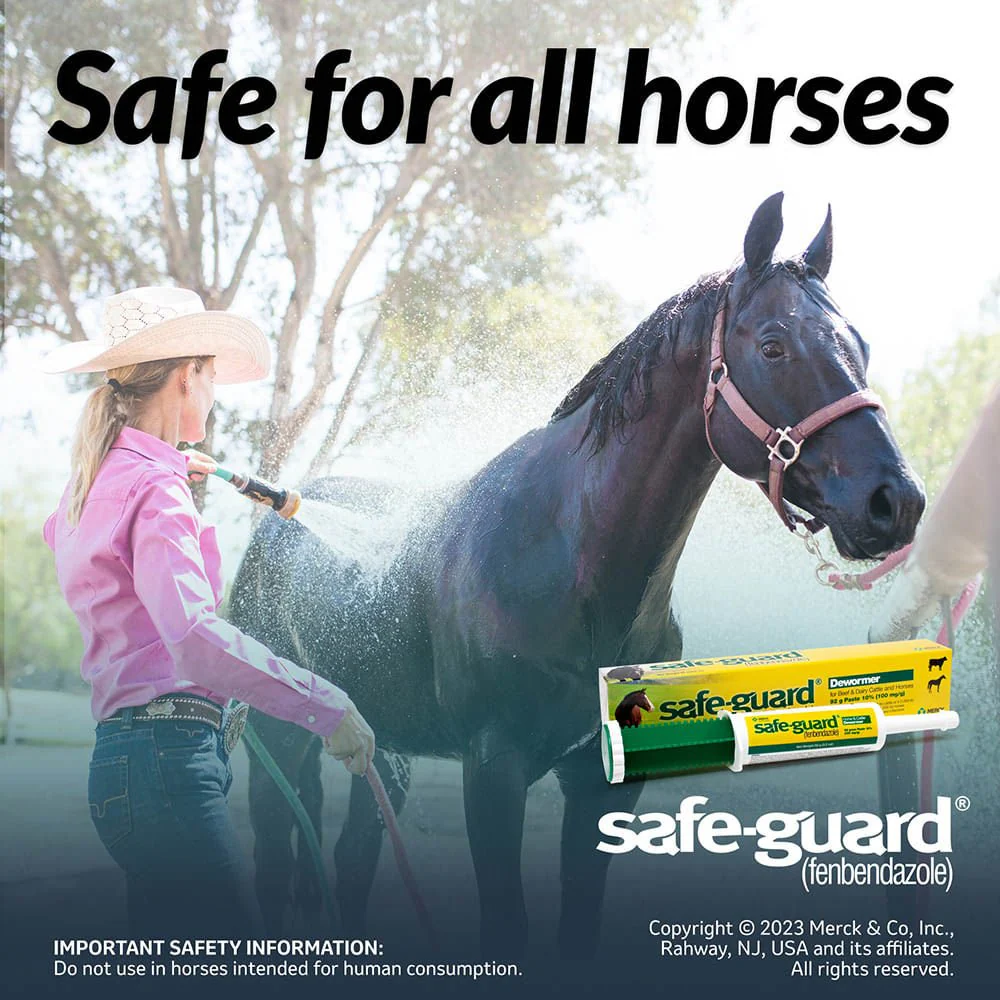 Safe-Guard 10% Fenbendazole Horse Dewormer Paste, 25g – Broad-Spectrum Parasite Wormer - Image 11