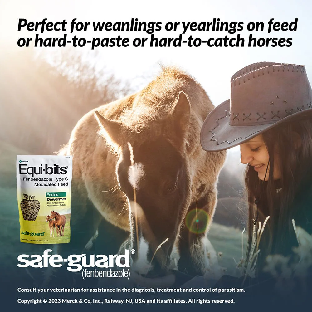 Safe-Guard Equi-bits Fenbendazole Medicated Feed Horse Dewormer, 1.25 lb - Image 2