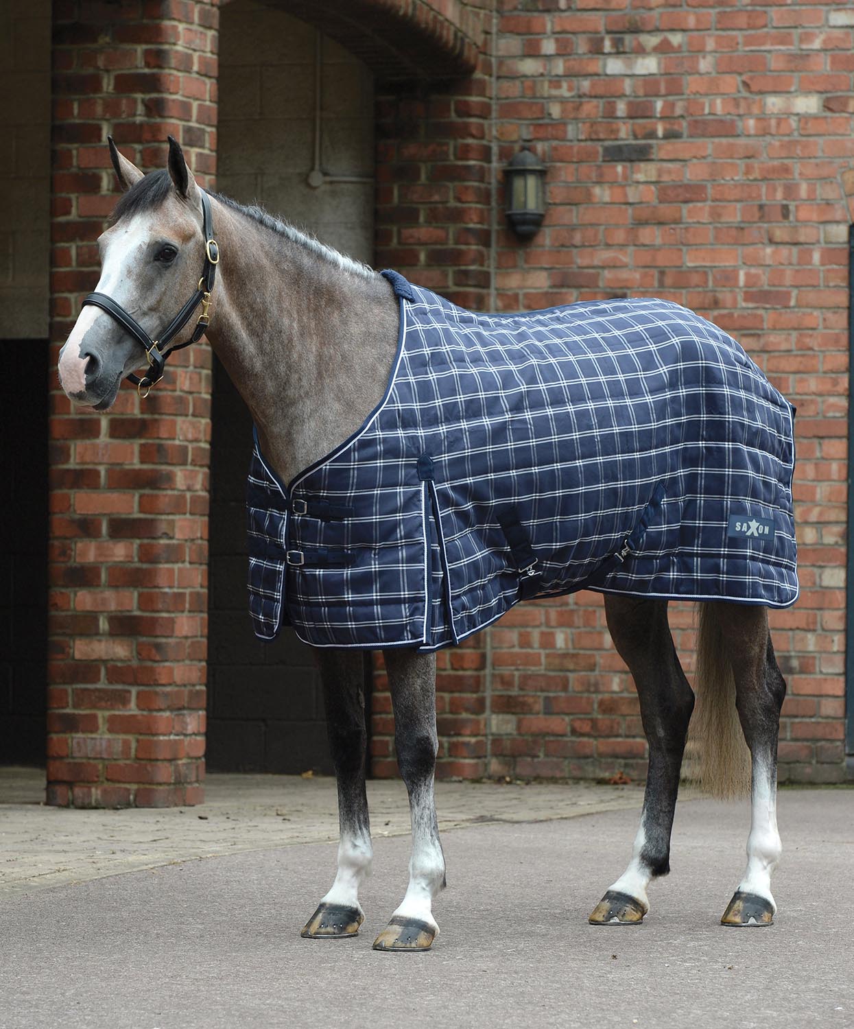 Saxon 1200D Standard Neck Medium Weight Stable Blanket for Horses, 200 Grams