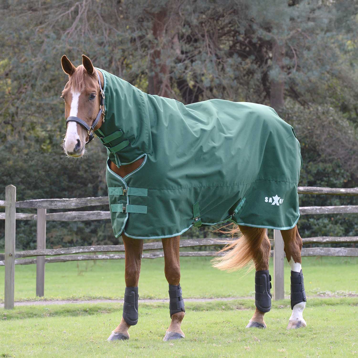 Saxon Defiant 1200 Denier Combo Neck Medium-Weight Turnout Blanket for Horses, 200g - Waterproof, Breathable & Durable