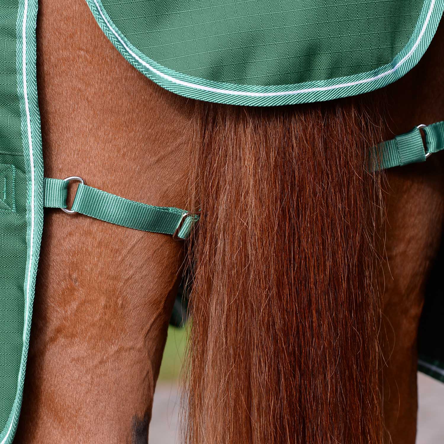 Saxon Defiant 1200 Denier Combo Neck Medium-Weight Turnout Blanket for Horses, 200g - Waterproof, Breathable & Durable - Image 3