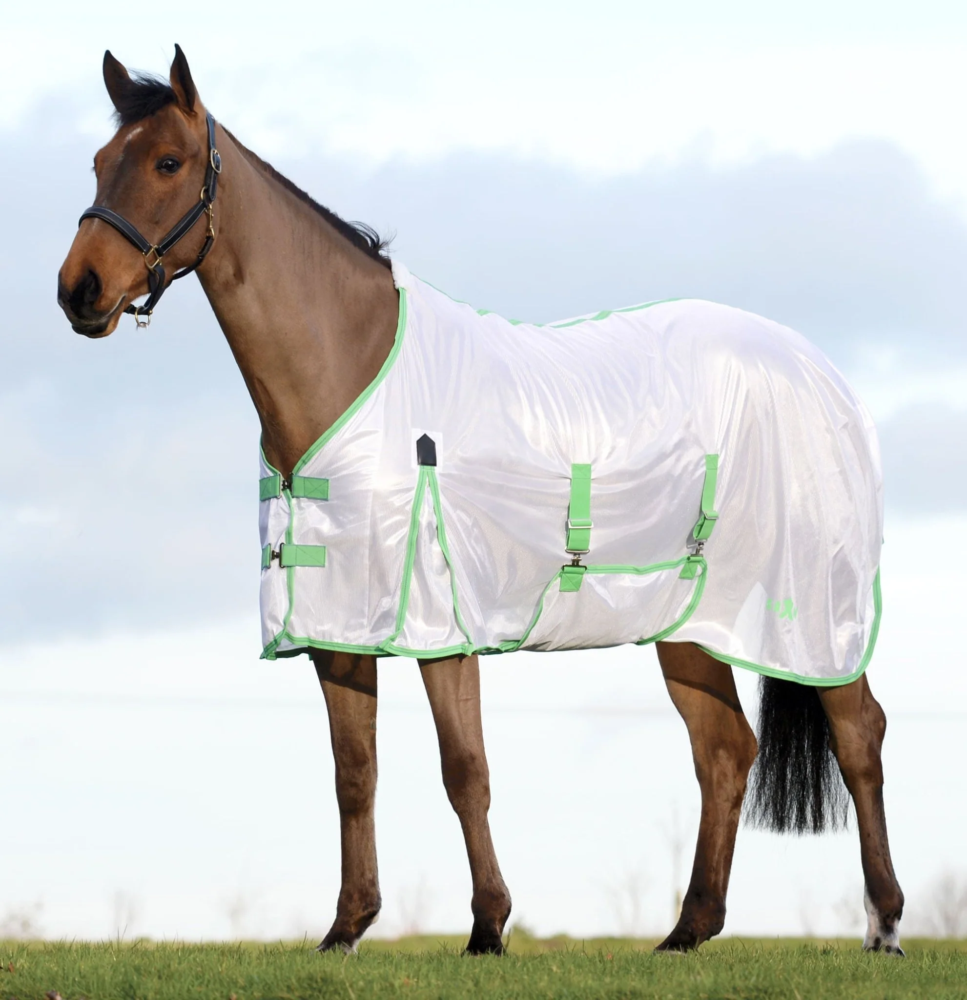Saxon Standard Neck Mesh Horse Fly Sheet - Image 3